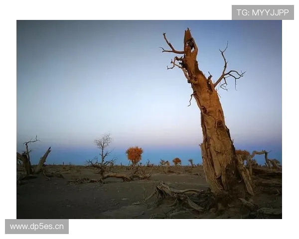 维罗纳雷焦危局中誓战到底不屈 维罗纳雷焦危局中誓战到底不屈